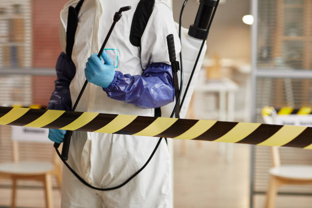 Professional Sewage Cleanup technician working in Papaikou, HI